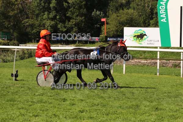 ET0Q0535 prot
